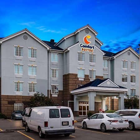 Comfort Suites New Orleans East Zewnętrze zdjęcie